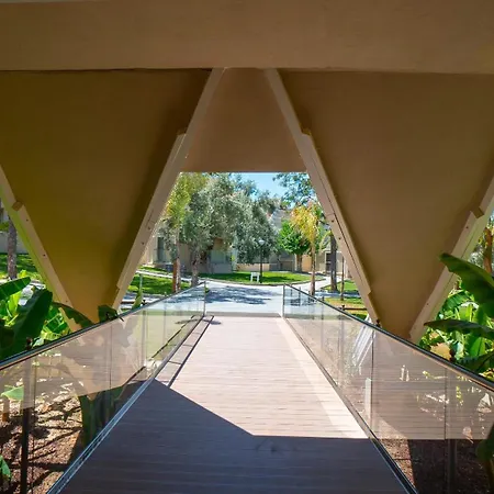 Long Club Nature דידים