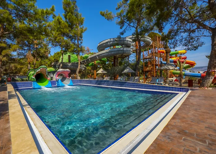 Resort Long Club Nature